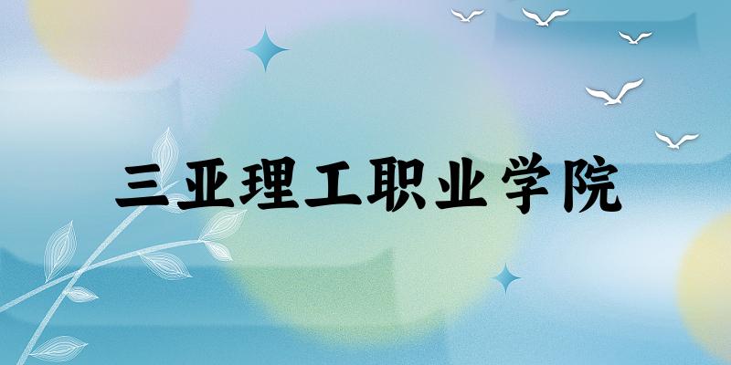 2025年三亚理工职业学院在山东全部专业录取位次文章图片