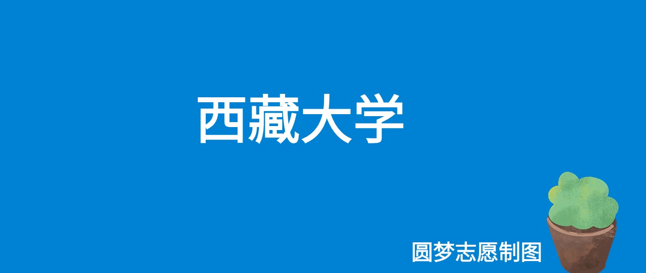 2025西藏大学录取分数线（全国各省最低分及位次）
