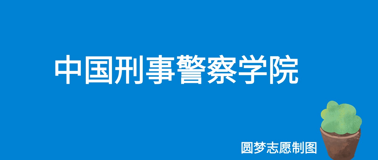 2025中国刑事警察学院录取分数线