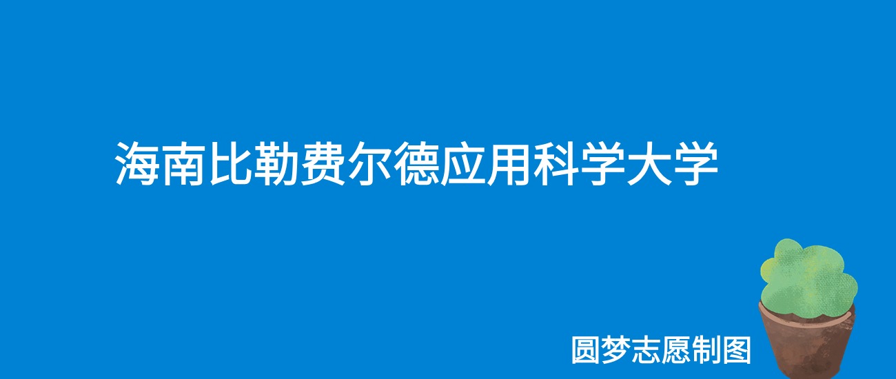 海南比勒费尔德应用科学大学山东录取分数线2025年是多少？附最低位次排名