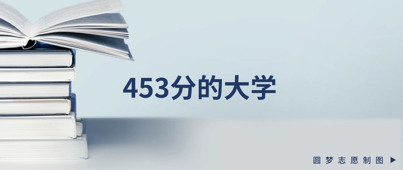 新疆453分左右的一本大学推荐（2026年高考参考）