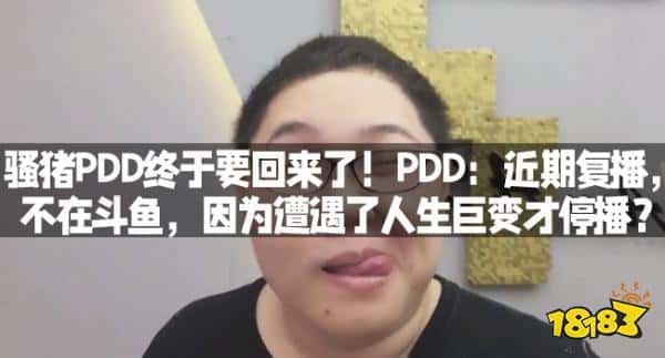 骚猪PDD终于要回来了！PDD：近期复播，不在斗鱼，因为遭遇了人生巨变才停播？