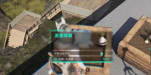 七日世界恶臭球根怎么收容