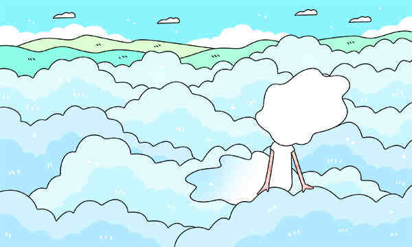 长江师范学院的录取分数线要多少？附2024招生计划及专业