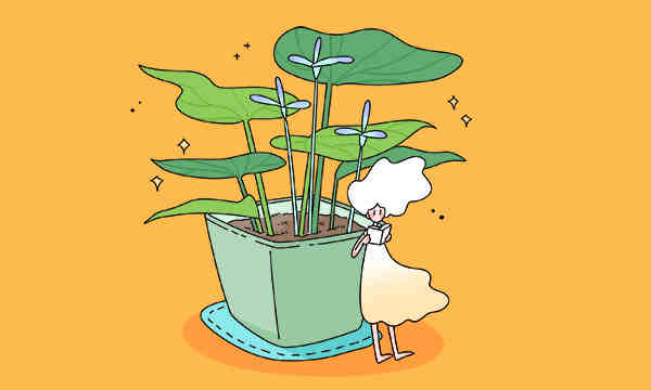 天津中医药大学的录取分数线要多少？附2024招生计划及专业