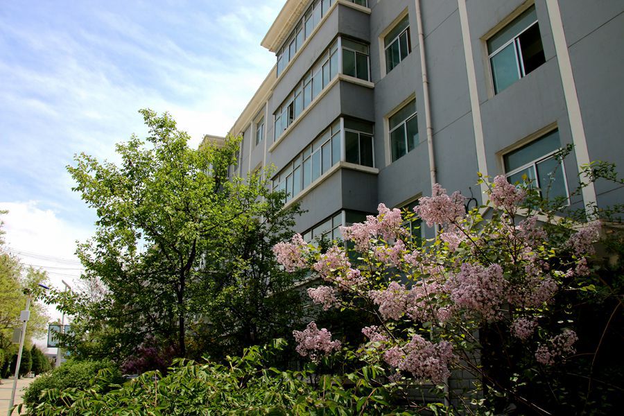 长春师范大学2024年在山东录取分数线、对应位次（附近几年最低录取分数线及位次排名）