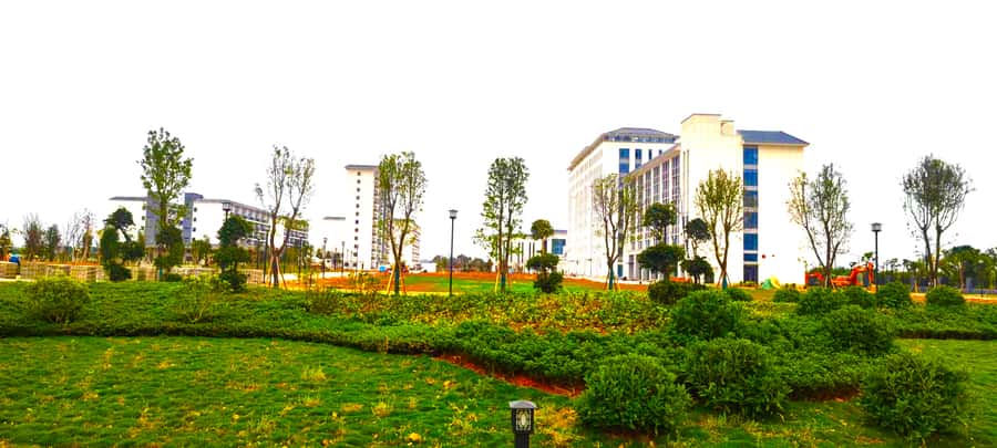 重庆邮电大学2024年在山东各专业录取分数线（附院校录取分数线录取位次）