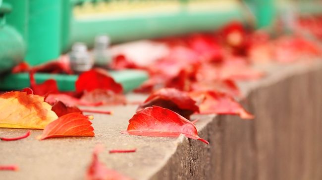 贵州中医药大学2024年在广东录取分数线、对应位次(附近几年最低录取分数线及位次排名) 贵州中医药大学2024年在广东录取分数线、对应位次(附近几年最低录取分数线及位次排名)