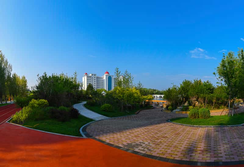 东莞理工学院2024年在广东录取分数线、对应位次（附近几年最低录取分数线及位次排名）