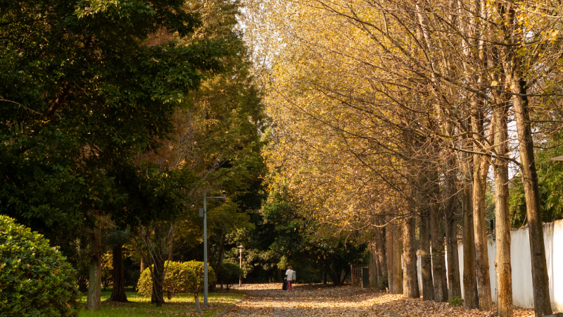 2024年大连理工大学城市学院在辽宁录取分数线(附近几年最低位次排名) 2024年大连理工大学城市学院在辽宁录取分数线(附近几年最低位次排名)