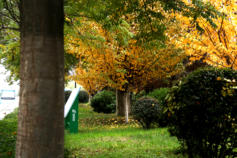 浙江位次排名多少能上重庆医科大学?附2022-2024年专业录取最低分及位次 浙江位次排名多少能上重庆医科大学?附2022-2024年专业录取最低分及位次