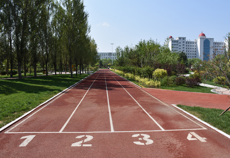 浙江高考成绩多少分能报考浙大城市学院？附2022-2024年各专业录取位次排名