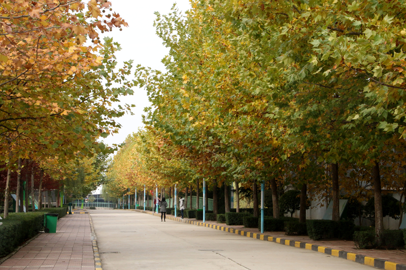 浙江财经大学2024年在山东各专业录取分数线（附院校录取分数线录取位次）