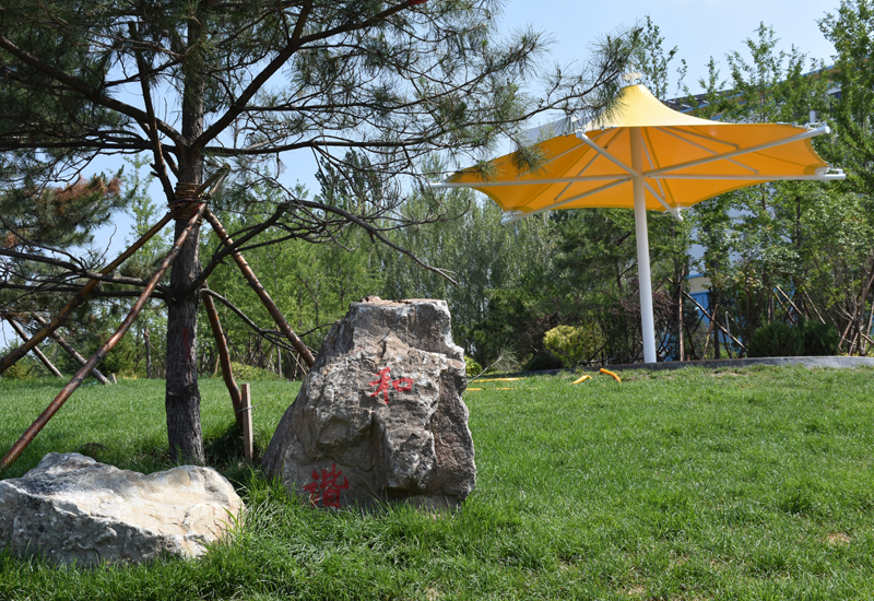 浙江农林大学暨阳学院2024年在贵州录取分数线、对应位次(附近几年最低录取分数线及位次排名) 浙江农林大学暨阳学院2024年在贵州录取分数线、对应位次(附近几年最低录取分数线及位次排名)