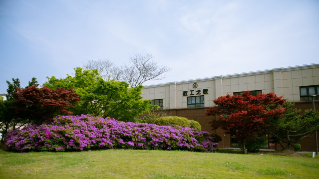 河南高考成绩多少分能报考周口职业技术学院?附2021-2023年各专业录取位次排名 河南高考成绩多少分能报考周口职业技术学院?附2021-2023年各专业录取位次排名