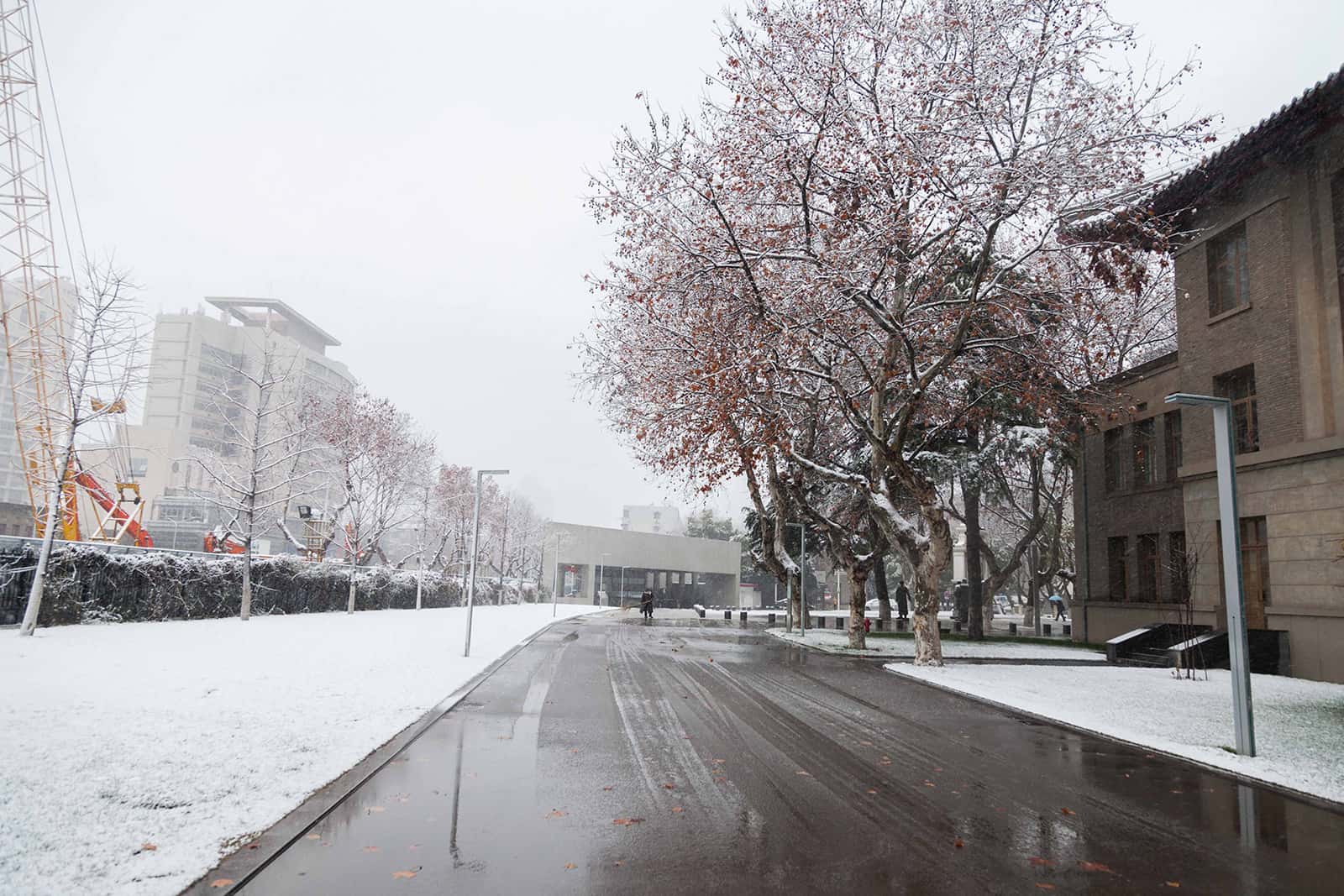 洛阳理工学院2024年在安徽录取分数线、对应位次(附近几年最低录取分数线及位次排名) 洛阳理工学院2024年在安徽录取分数线、对应位次(附近几年最低录取分数线及位次排名)