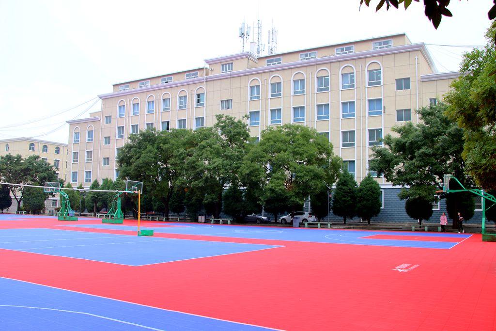 河北高考成绩多少分能报考江苏电子信息职业学院？附2022-2024年各专业录取位次排名