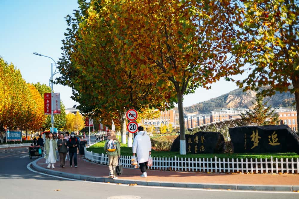 江西中医药大学2024年在四川录取分数线、对应位次（附近几年最低录取分数线及位次排名）