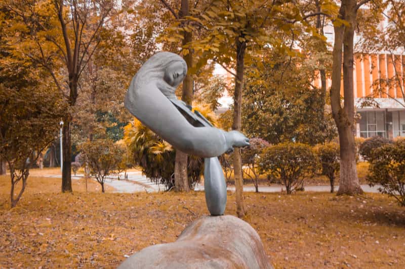 扬州大学2024年在广东录取分数线、对应位次（附近几年最低录取分数线及位次排名）