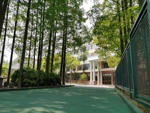 山东高考成绩多少分能报考北京邮电大学？附2022-2024年各专业录取位次排名