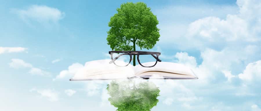 宁夏公办本科院校排名及分数线一览表（含文理科，2025参考）