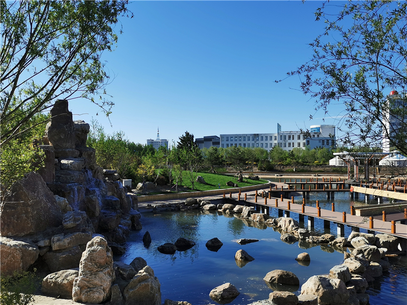 广东高考成绩多少分能报考北京物资学院?附2022-2024年各专业录取位次排名 广东高考成绩多少分能报考北京物资学院?附2022-2024年各专业录取位次排名