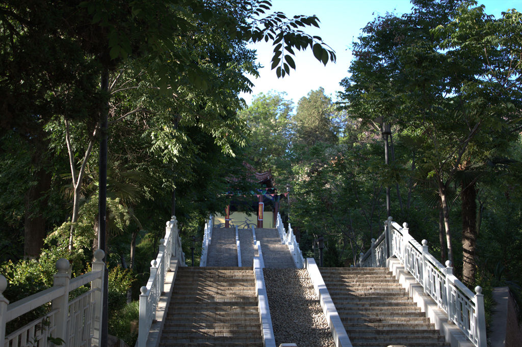 山东高考成绩多少分能报考菏泽家政职业学院？附2022-2024年各专业录取位次排名