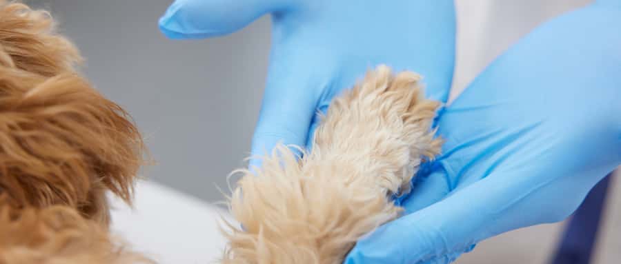 二本线最低的医药类大学：低分可上的医药类院校推荐（2025参考）