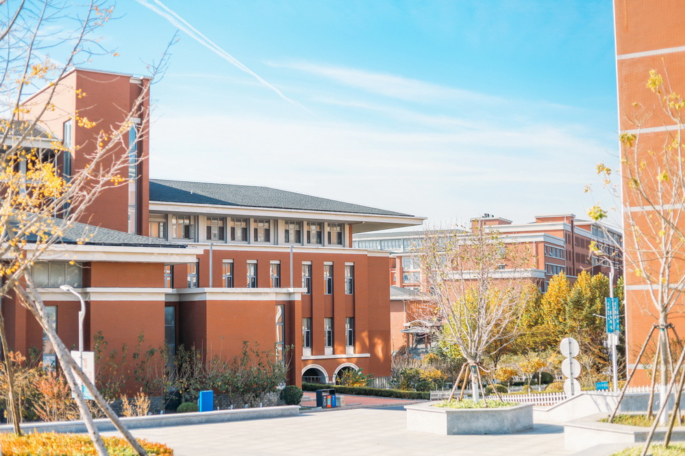 山东高考成绩多少分能报考西南财经大学?附2022-2024年各专业录取位次排名 山东高考成绩多少分能报考西南财经大学?附2022-2024年各专业录取位次排名