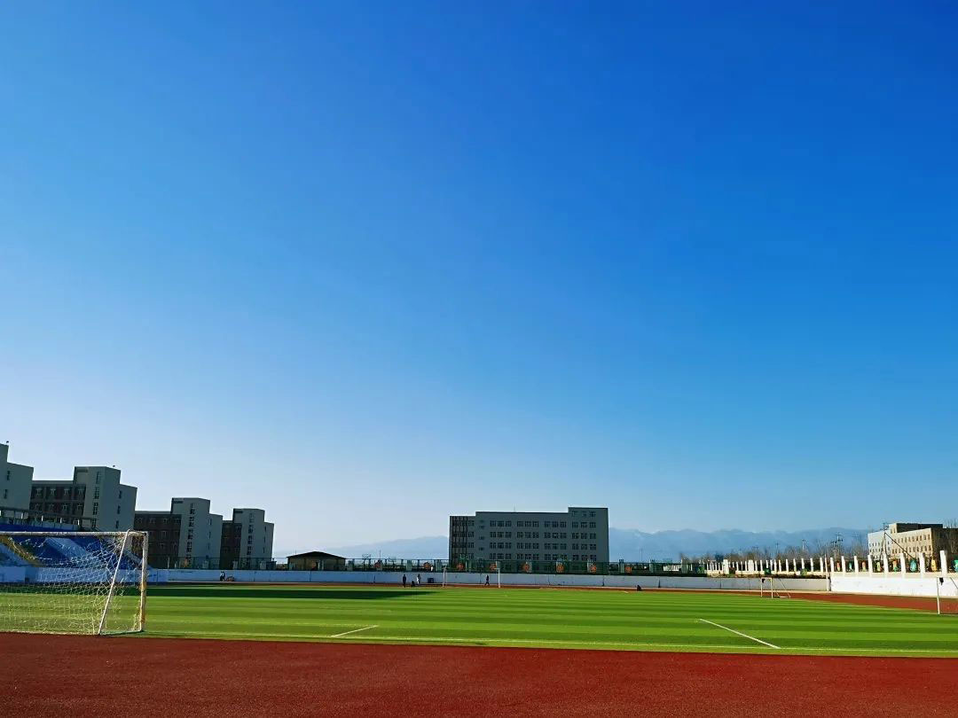 四川美术学院2024年在河北录取分数线、对应位次（附近几年最低录取分数线及位次排名）