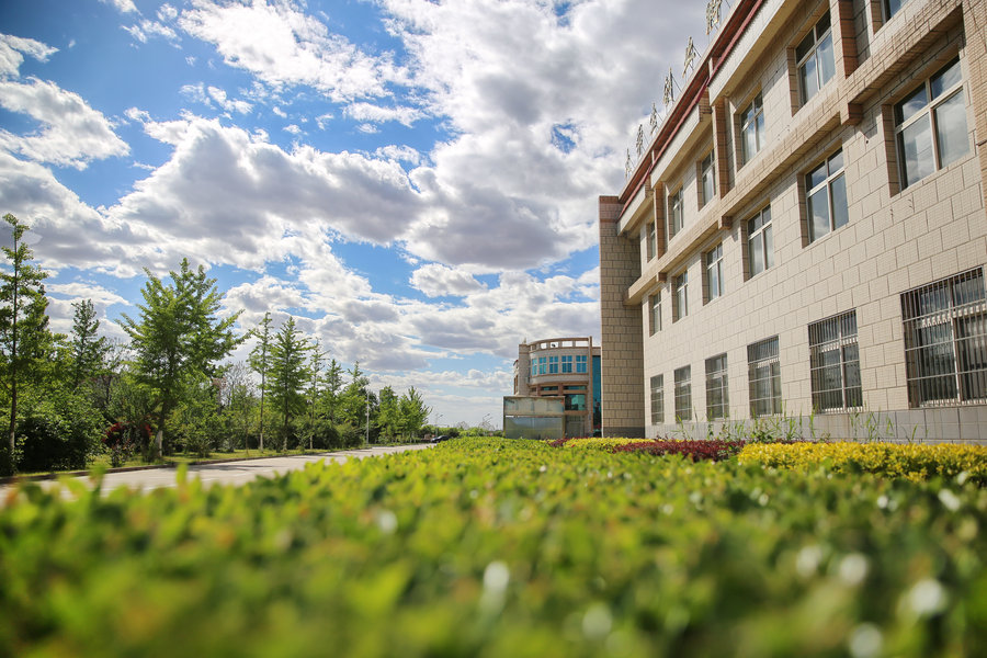 南京邮电大学通达学院2024年在河北各专业录取分数线(附院校录取分数线录取位次) 南京邮电大学通达学院2024年在河北各专业录取分数线(附院校录取分数线录取位次)