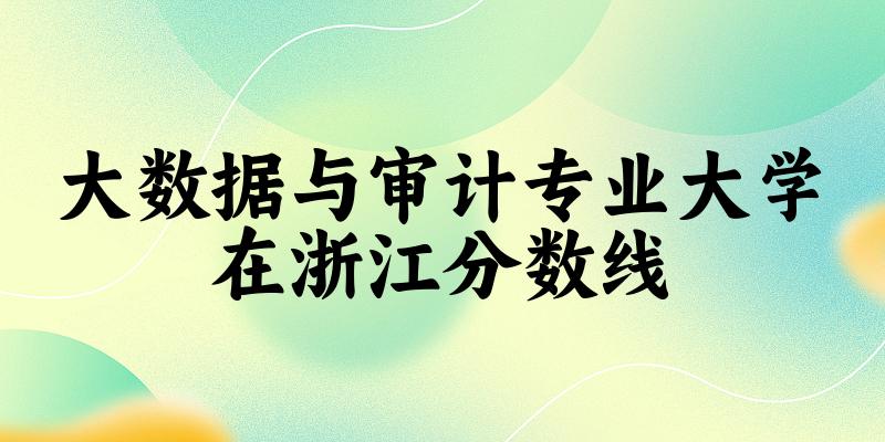 2024大数据与审计专业浙江录取分数线多少分 附专业就业方向 (2025参考)