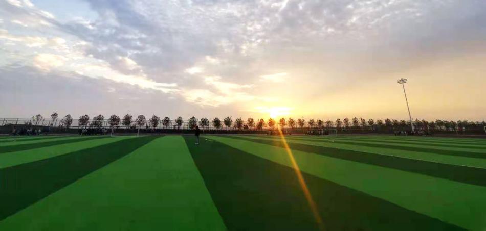 天津职业技术师范大学2024年在贵州录取分数线、对应位次（附近几年最低录取分数线及位次排名）
