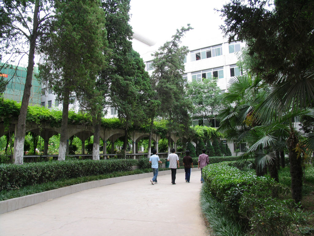 对外经济贸易大学2024年在山东录取分数线、对应位次（附近几年最低录取分数线及位次排名）