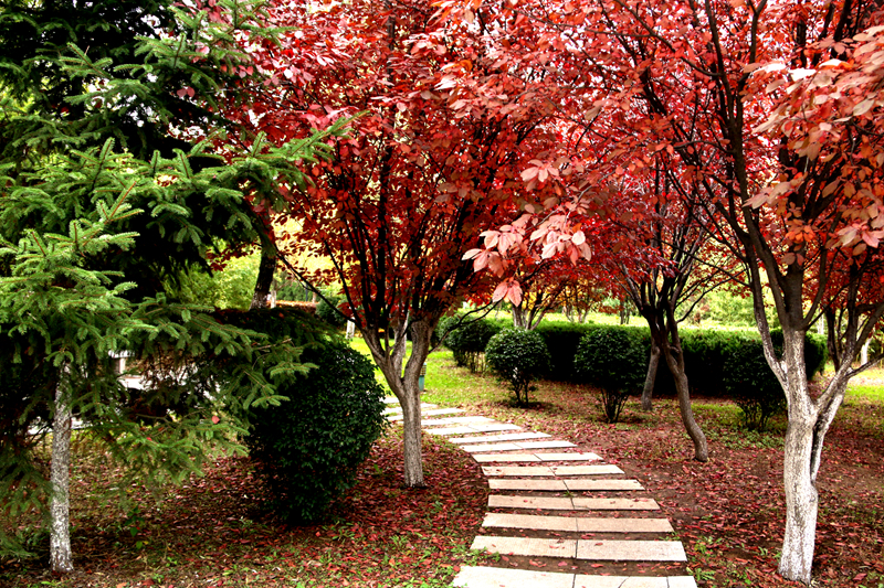 大连工业大学2024年在江苏录取分数线、对应位次(附近几年最低录取分数线及位次排名) 大连工业大学2024年在江苏录取分数线、对应位次(附近几年最低录取分数线及位次排名)