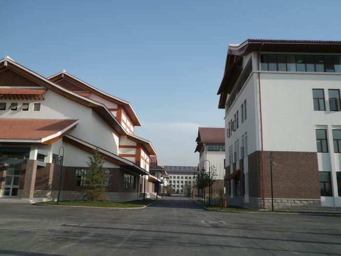 天津外国语大学滨海外事学院2024年在山东录取分数线、对应位次(附近几年最低录取分数线及位次排名) 天津外国语大学滨海外事学院2024年在山东录取分数线、对应位次(附近几年最低录取分数线及位次排名)