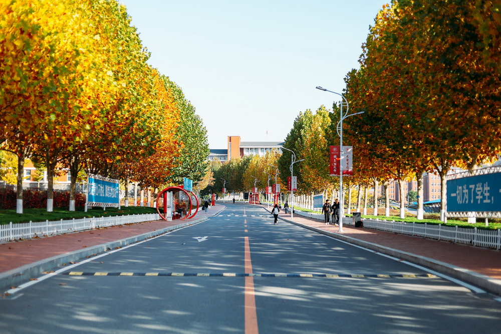 天津中医药大学2024年在辽宁各专业录取分数线（附院校录取分数线录取位次）