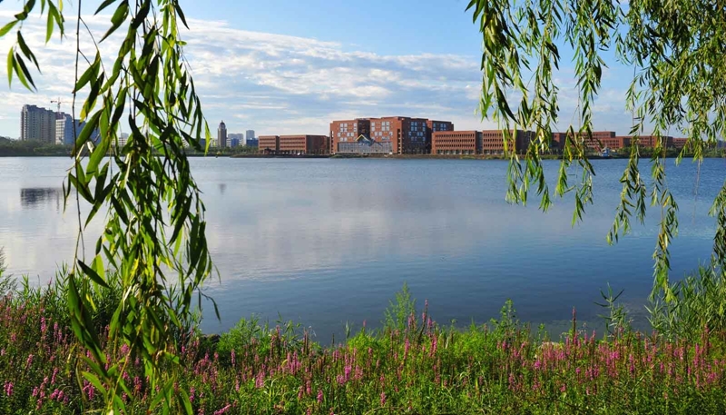 2024年哈尔滨工业大学在广西录取分数线（附近几年最低位次排名）