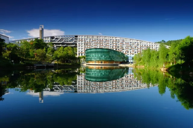 中国矿业大学徐海学院2024年在贵州录取分数线、对应位次（附近几年最低录取分数线及位次排名）