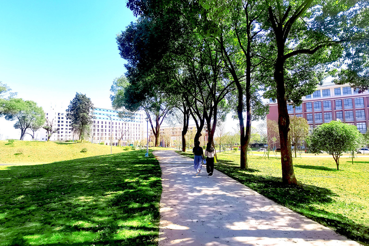 厦门大学2024年在广东录取分数线、对应位次（附近几年最低录取分数线及位次排名）