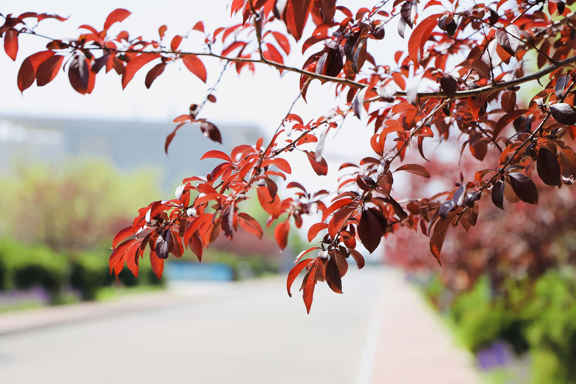 北京理工大学2024年在广东录取分数线、对应位次（附近几年最低录取分数线及位次排名）