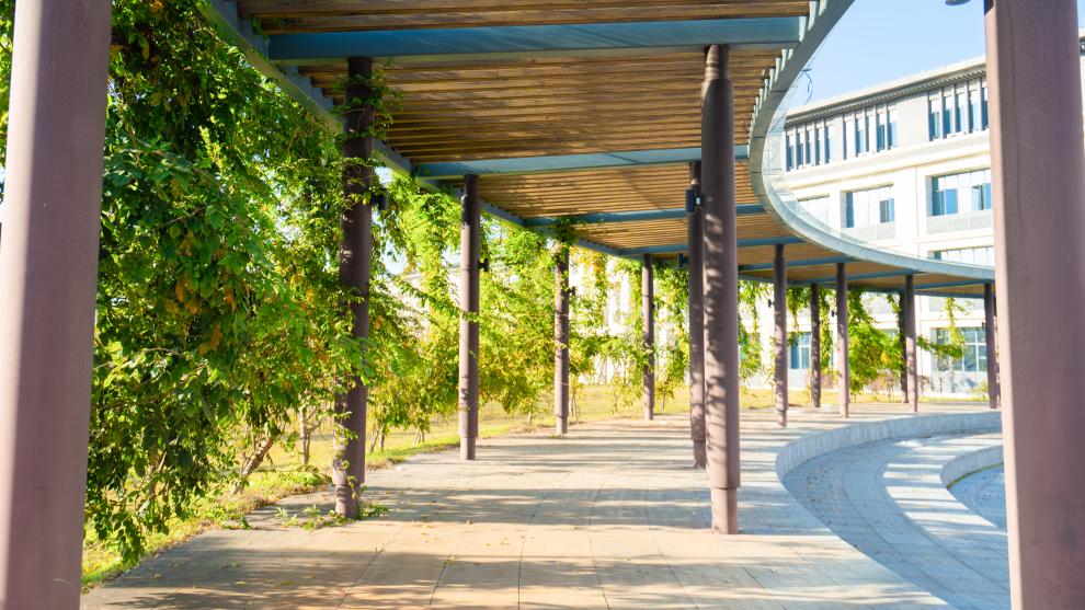 北京中医药大学2024年在广东录取分数线、对应位次（附近几年最低录取分数线及位次排名）