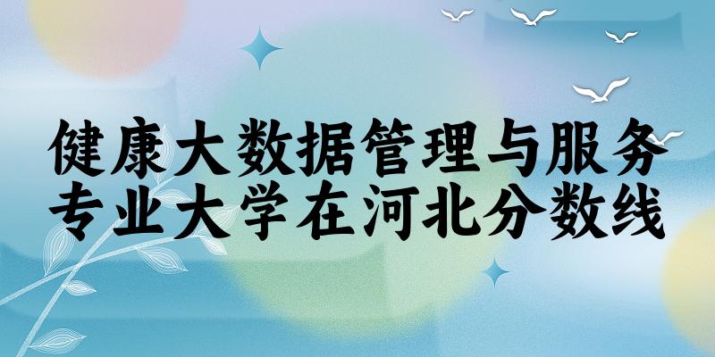 2024健康大数据管理与服务专业河北录取