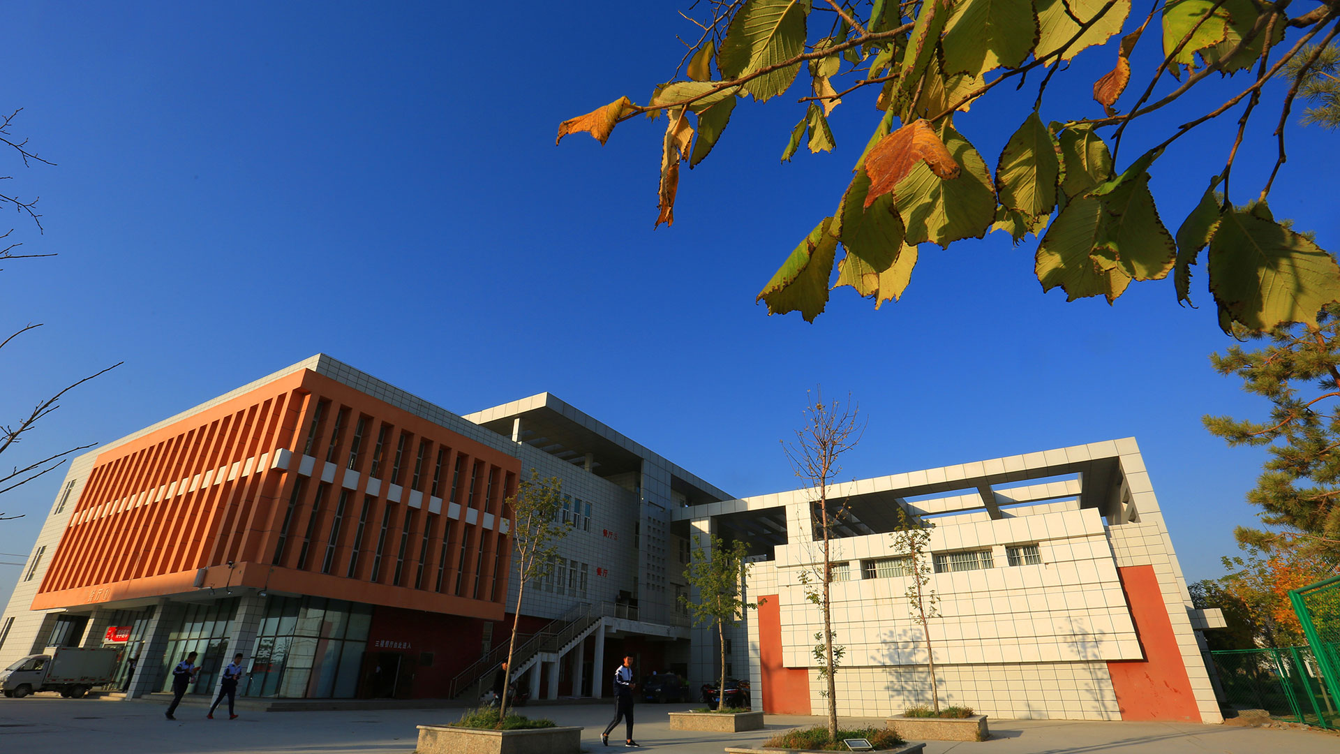 上海交通大学2024年在浙江各专业录取分