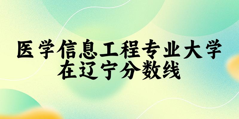 2024医学信息工程专业辽宁录取分数线多