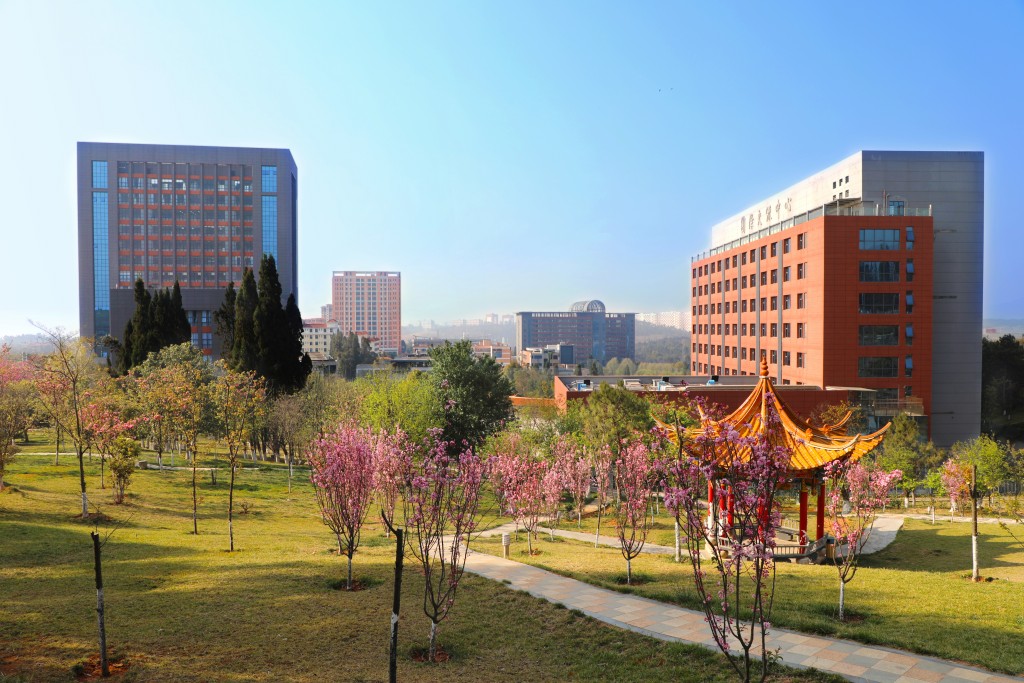 南开大学2024年录取分数线全解析：各省