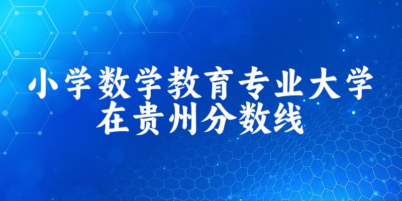 2024小学数学教育专业贵州录取分数线多