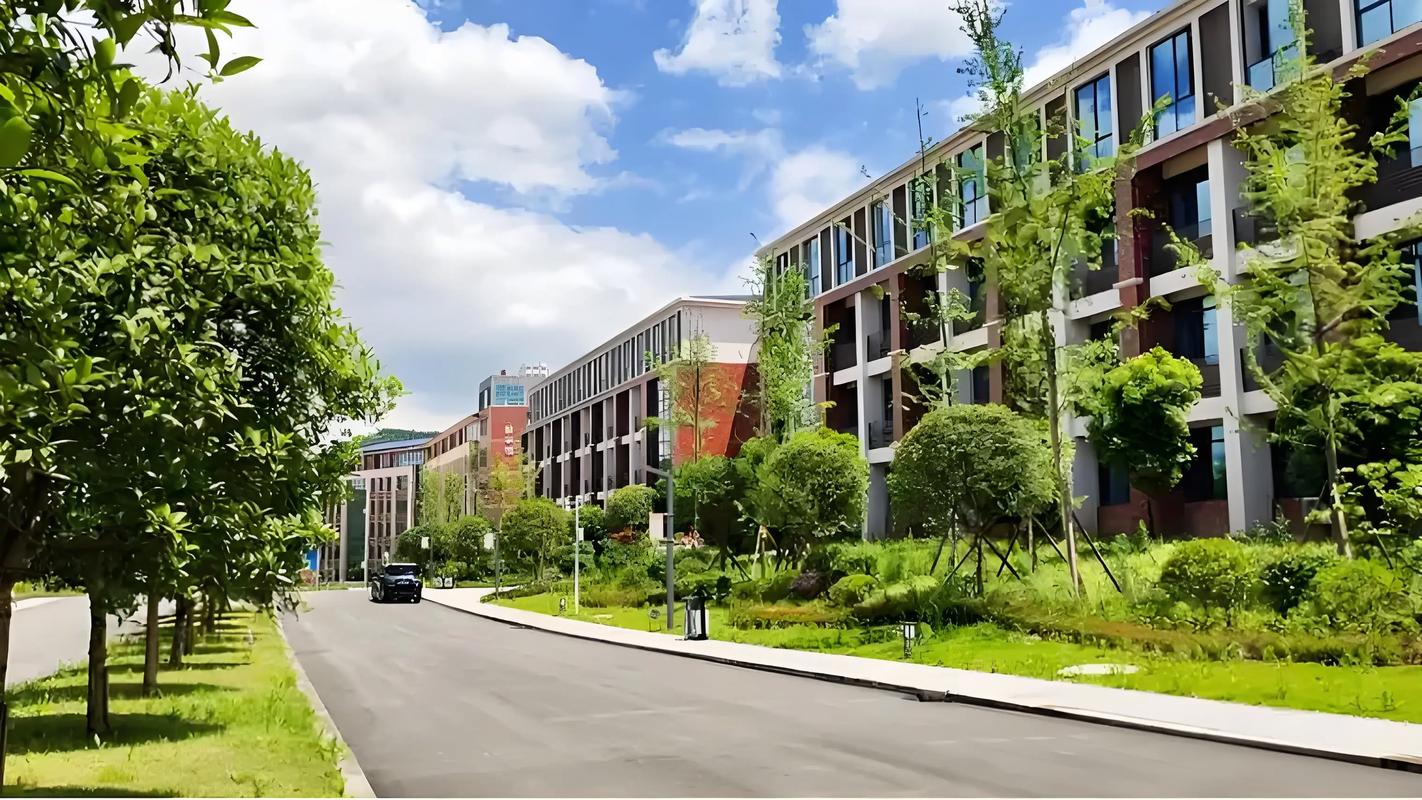 重庆分数最低的专科大学：2025多少分可以上？(图5)