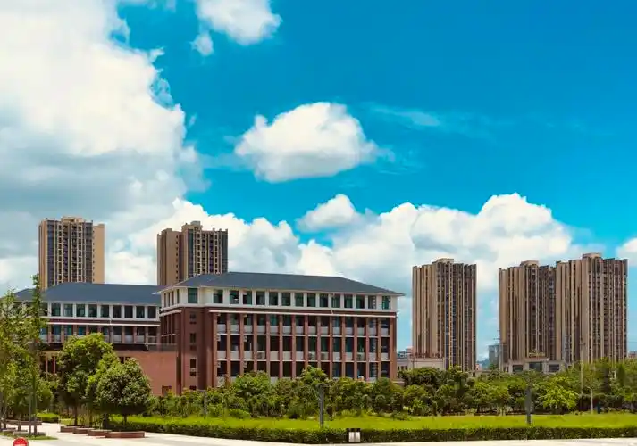 重庆分数最低的专科大学：2025多少分可以上？(图6)