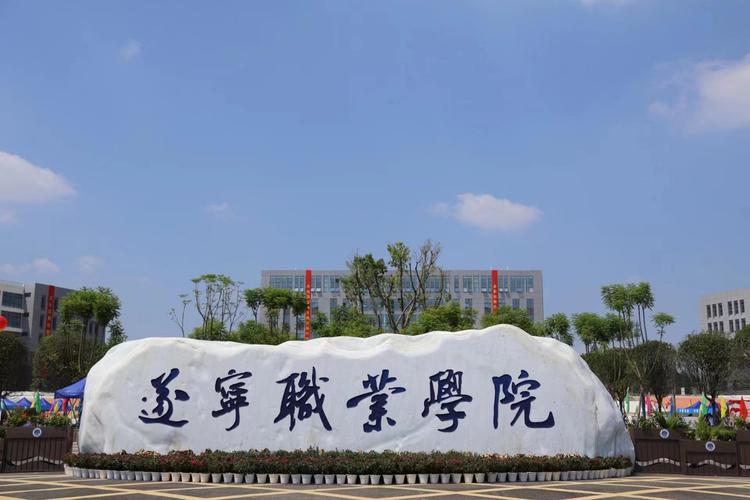 四川分数最低的专科大学：2025多少分可以上？(图4)